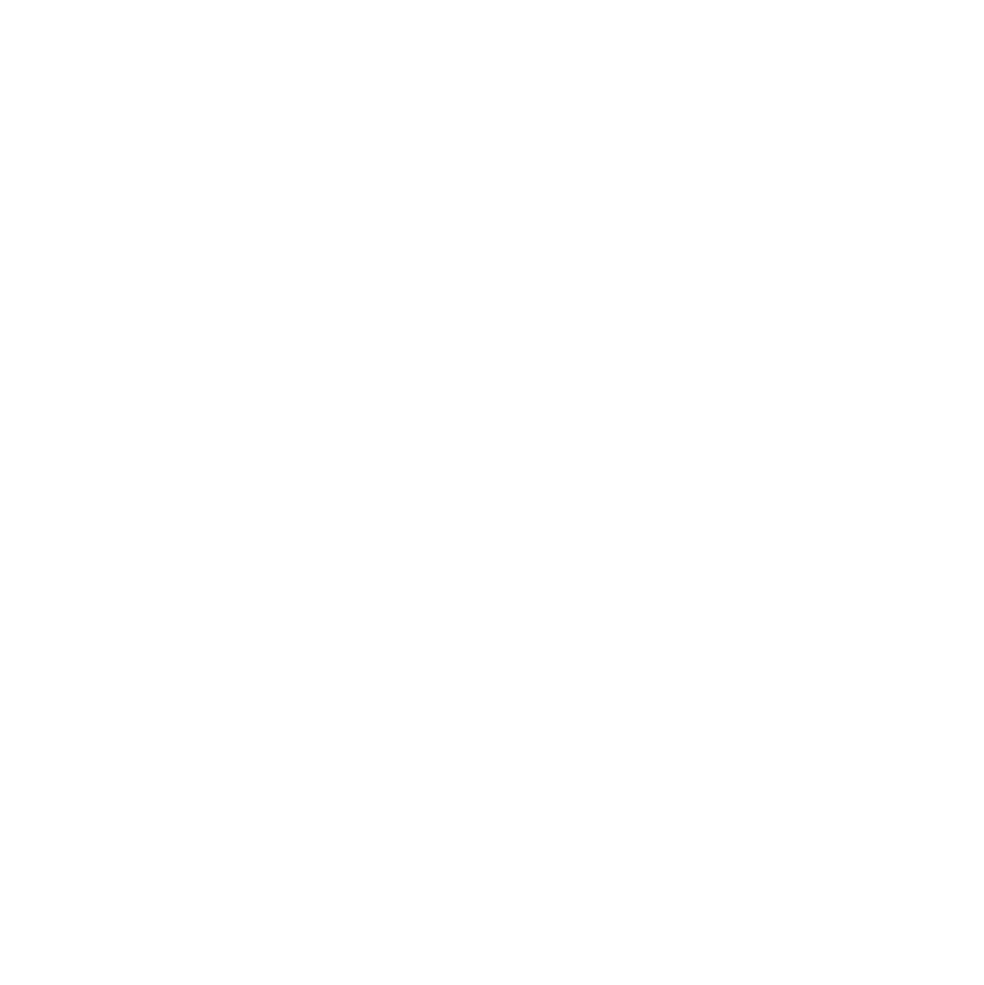 Level Pro